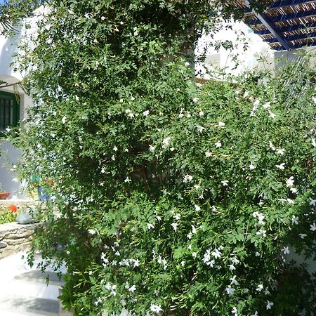 Porto Vlastos Агиос-Иоаннис Экстерьер фото